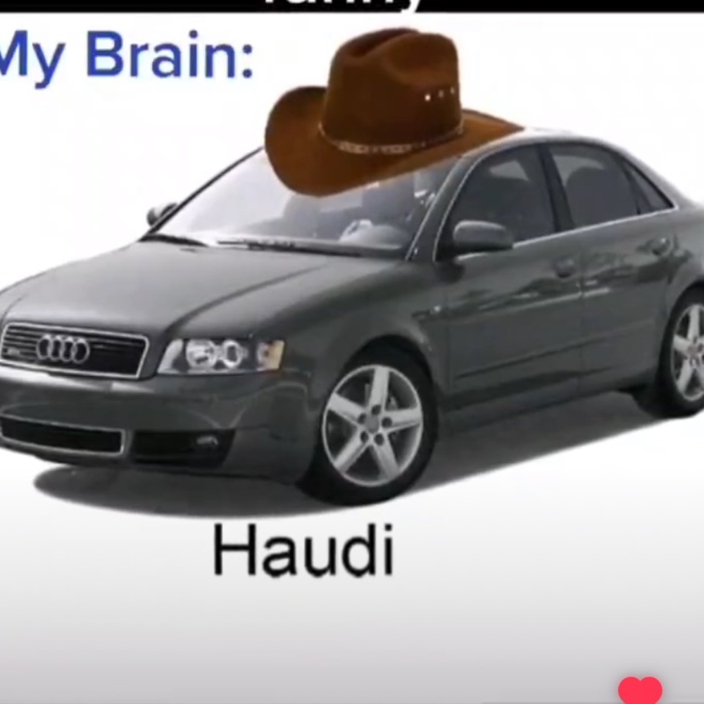 Haudi